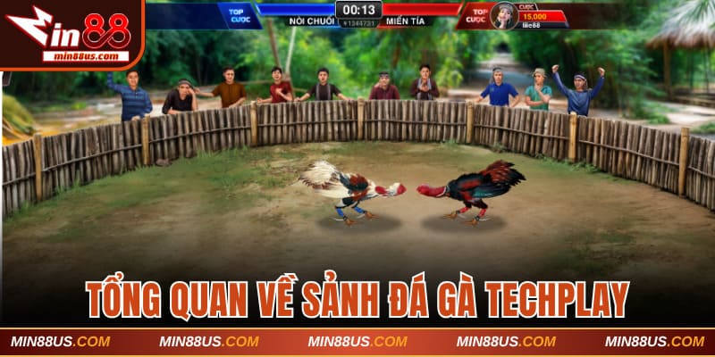 Tổng quan về sảnh đá gà Techplay