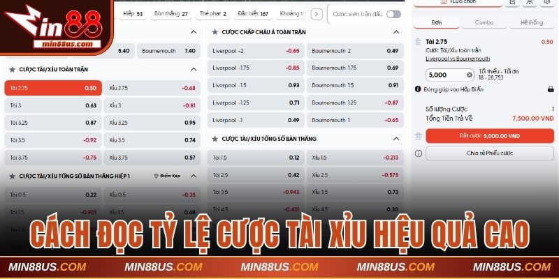 Cách đọc tỷ lệ cược tài xỉu đạt hiệu quả cao