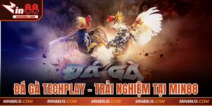 Đá gà Techplay