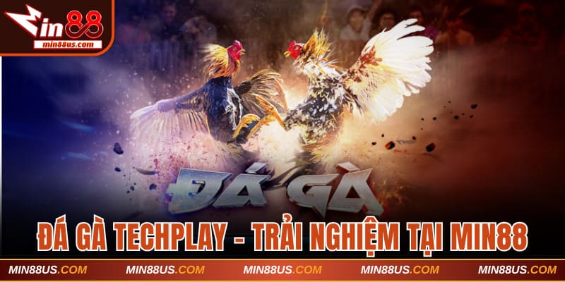 Đá gà Techplay