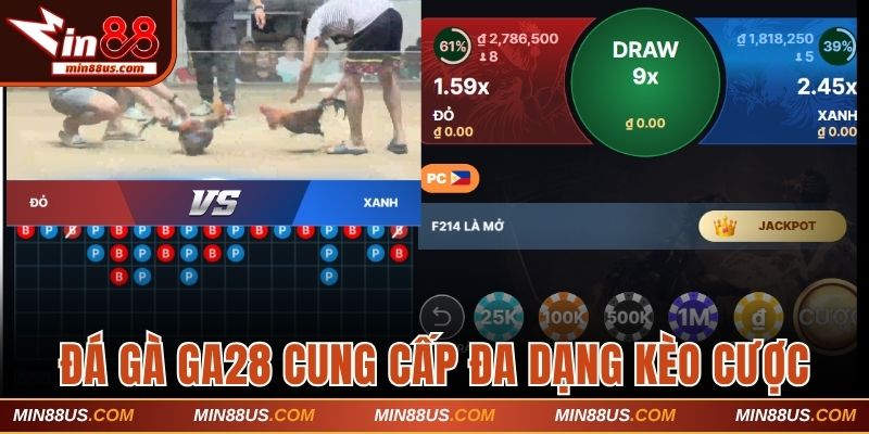 Đá gà GA28 cung cấp đa dạng kèo cược
