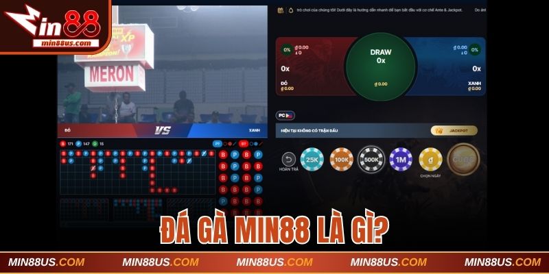 Đá gà Min88 là gì?