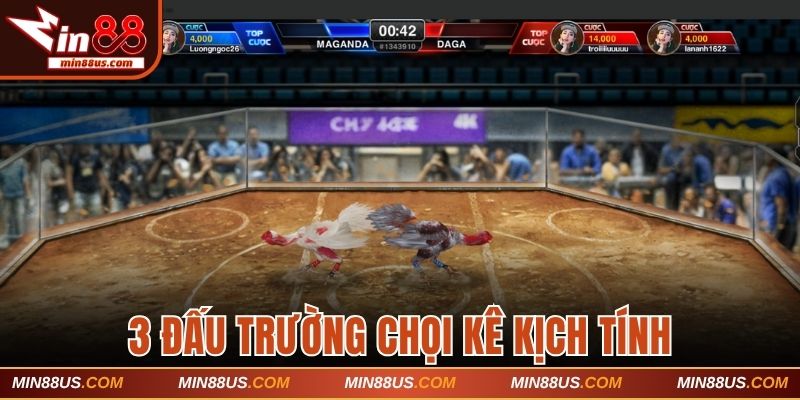 Gợi ý 3 đấu trường chọi kê kịch tính không nên bỏ lỡ