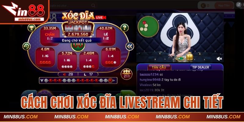 Quy trình chơi chi tiết